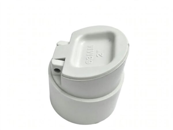 Non Return valve 2 inch